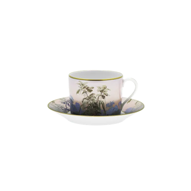 haviland-limoges-le-br-sil-teetasse-mit-untertasse-manufacture-zuber image 1