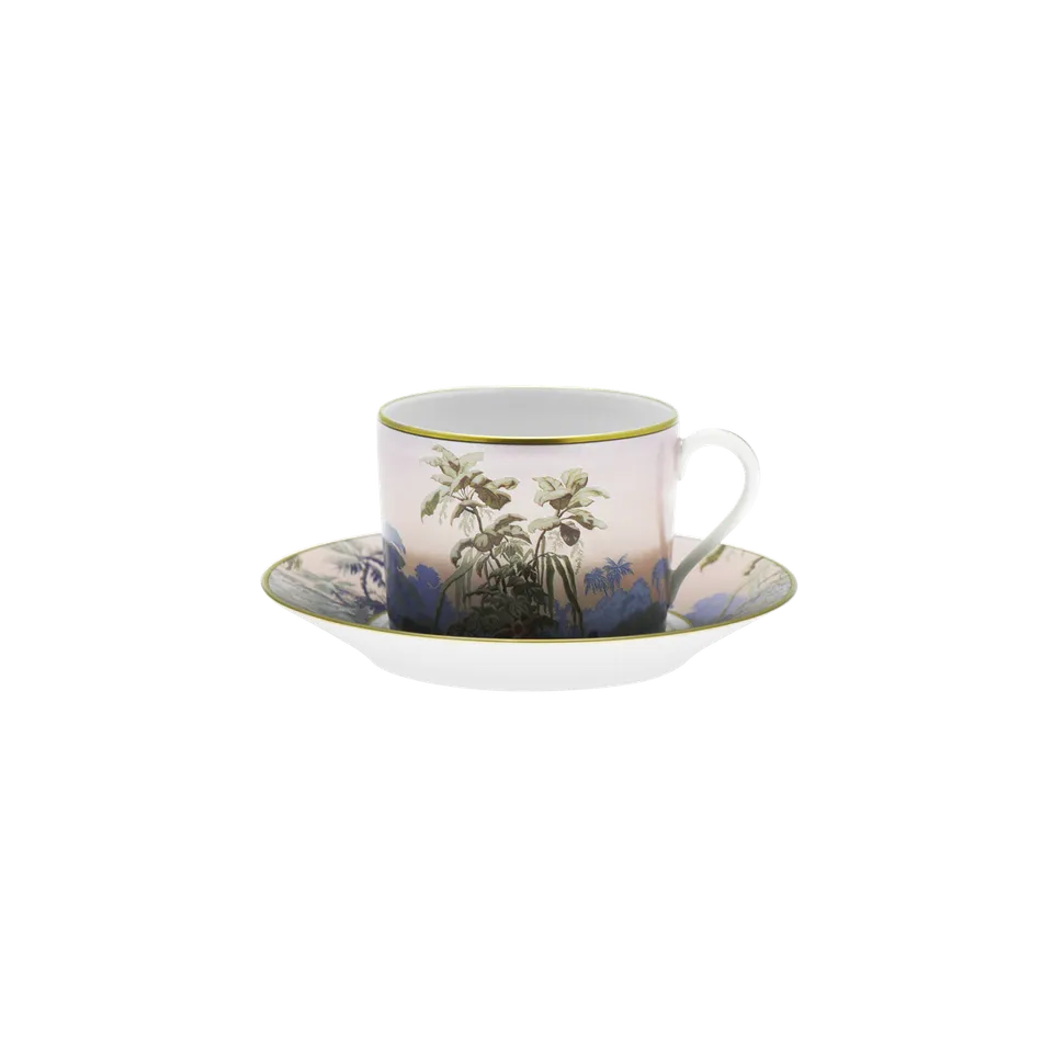 haviland-limoges-le-br-sil-teetasse-mit-untertasse-manufacture-zuber image 1