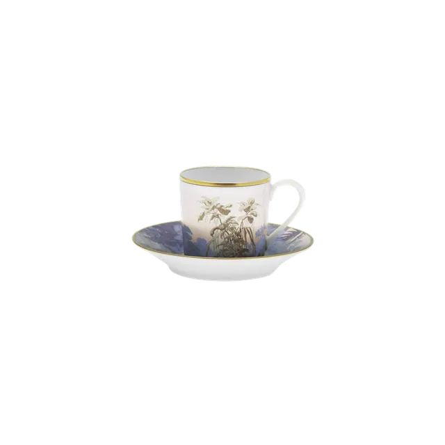 haviland-limoges-le-br-sil-manufacture-zuber-kaffeetasse-mit-untertasse image 1