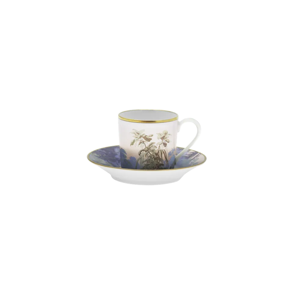 haviland-limoges-le-br-sil-manufacture-zuber-kaffeetasse-mit-untertasse image 1
