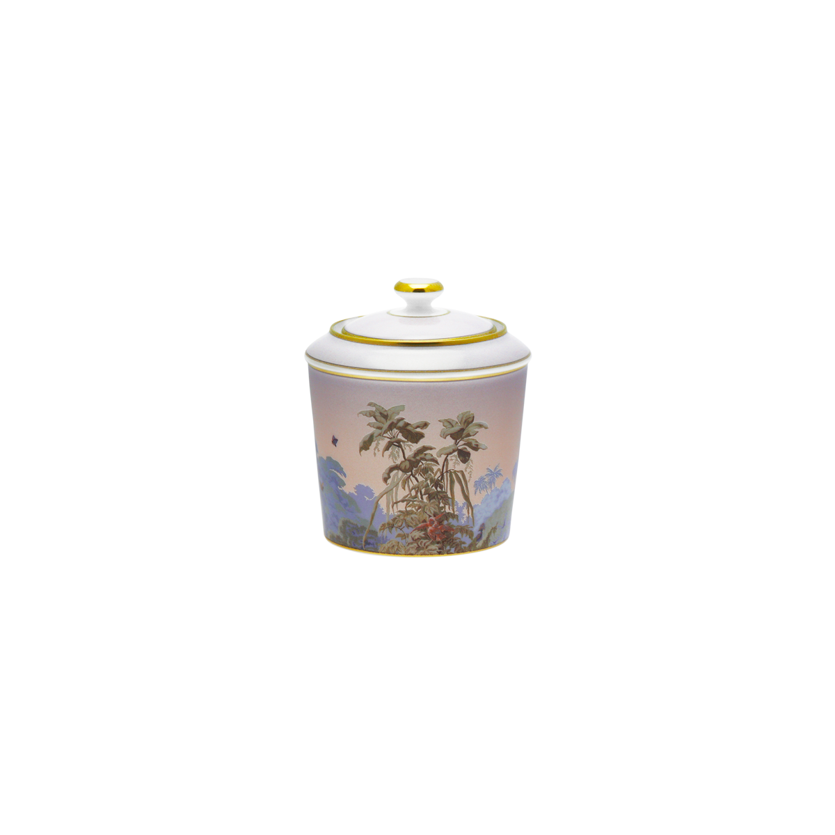 haviland-limoges-le-br-sil-sucrier-manufacture-zuber image 1