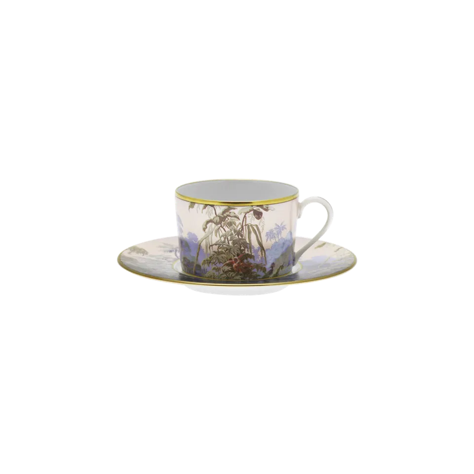 haviland-limoges-le-br-sil-manufacture-zuber-fr-hst-ckstasse-mit-untertasse image 1