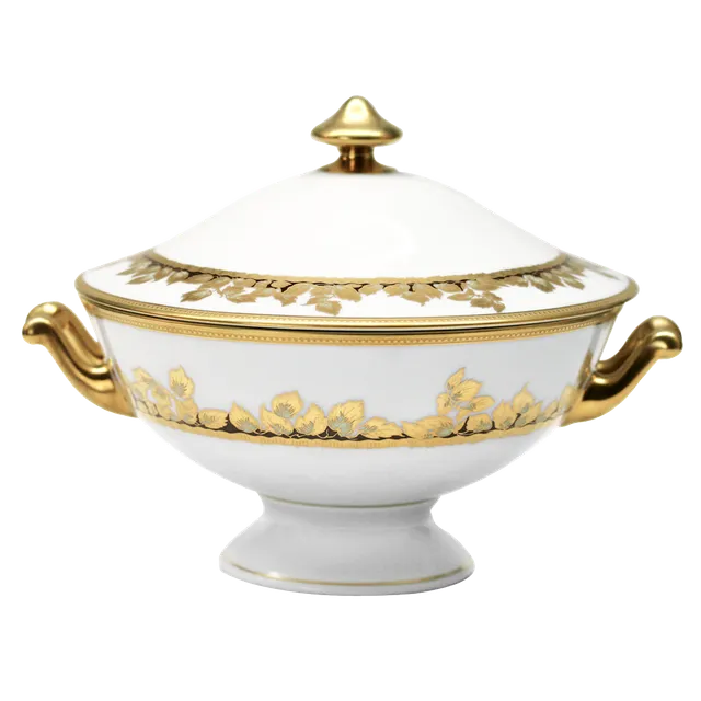 haviland-limoges-feuille-d-or-porzellan-soupi-re image 1