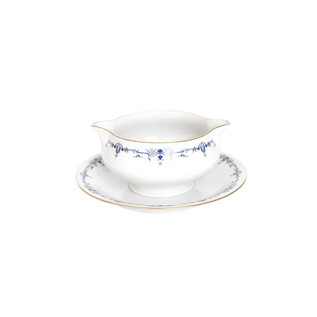 haviland-limoges-marthe-ritz-paris-sauciere-porzellan image 1