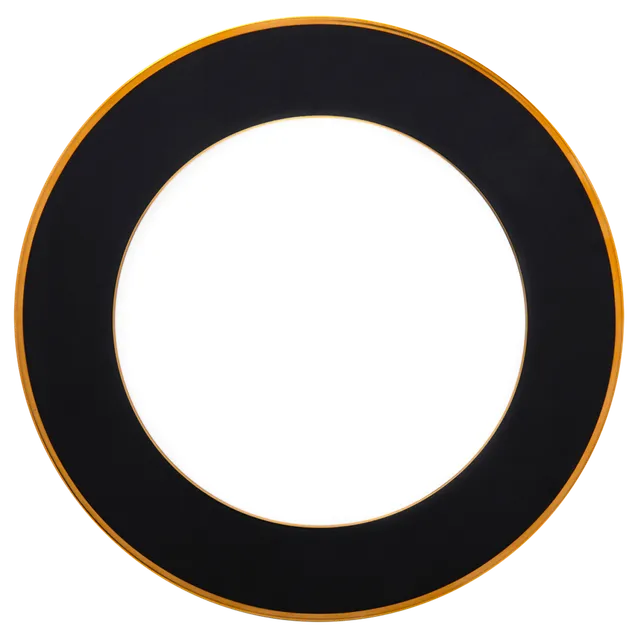 haviland-limoges-les-pr-sentations-pr-sentierteller-noir-mica-or image 1