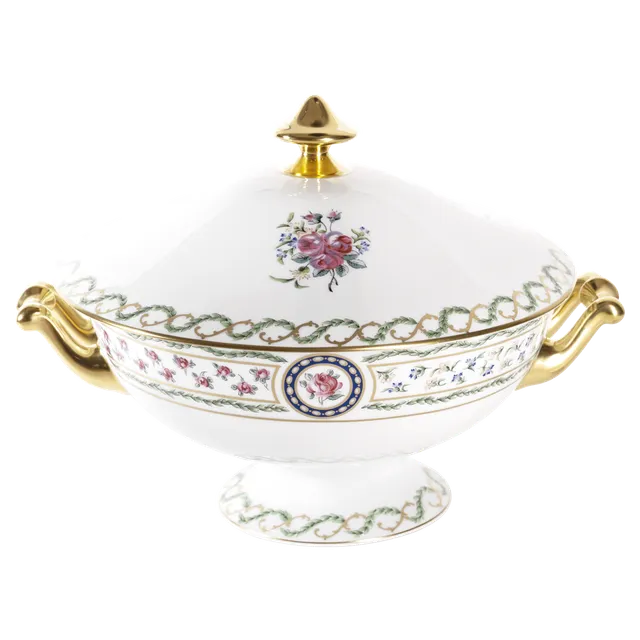 haviland-limoges-louveciennes-terrine-suppensch-ssel image 1