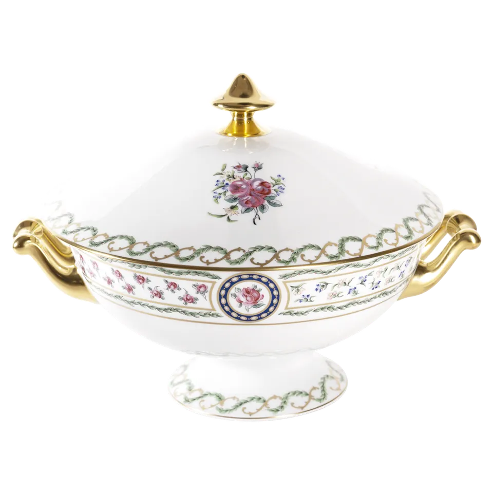 haviland-limoges-louveciennes-terrine-suppensch-ssel image 1