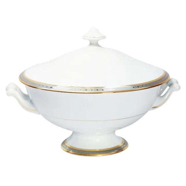 haviland-limoges-place-vendome-terrine-soupiere image 1