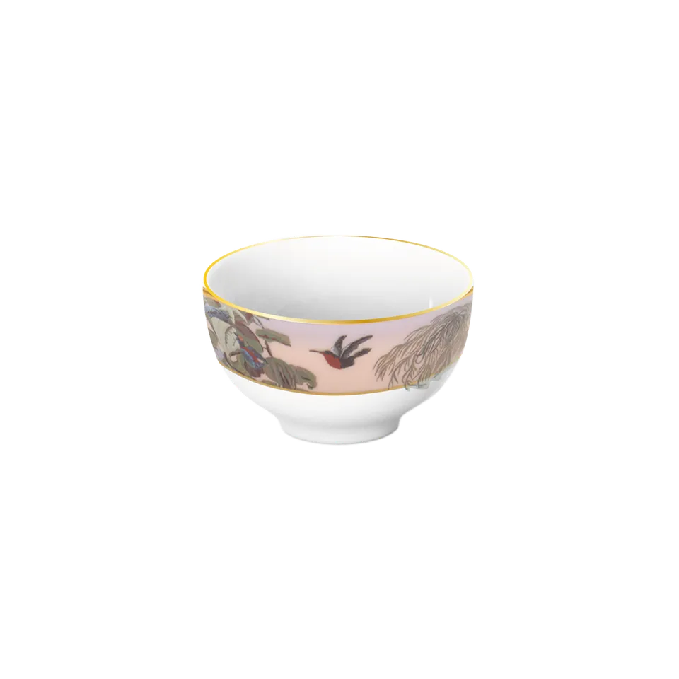 haviland-limoges-le-br-sil-curry-schale-manufacture-zuber image 1