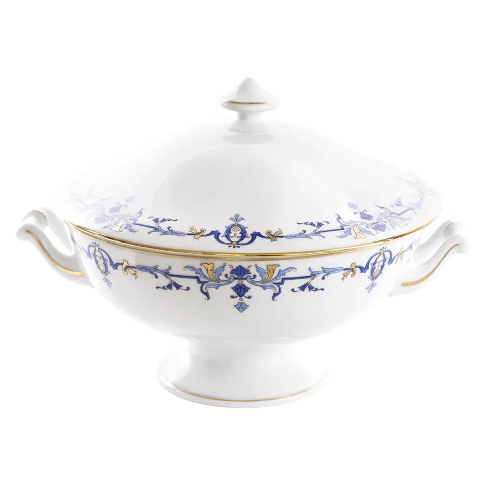 haviland-limoges-marthe-ritz-paris-terrine-soupi-re image 1