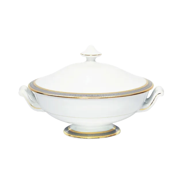 haviland-limoges-place-vend-me-legumier-gem-sesch-ssel image 1