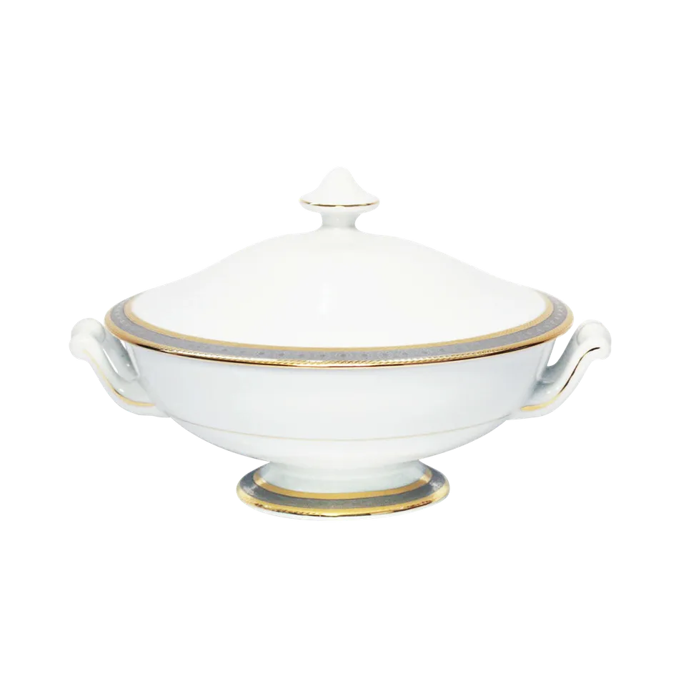 haviland-limoges-place-vend-me-legumier-gem-sesch-ssel image 1