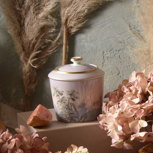 haviland-limoges-le-br-sil-sucrier-manufacture-zuber image 2