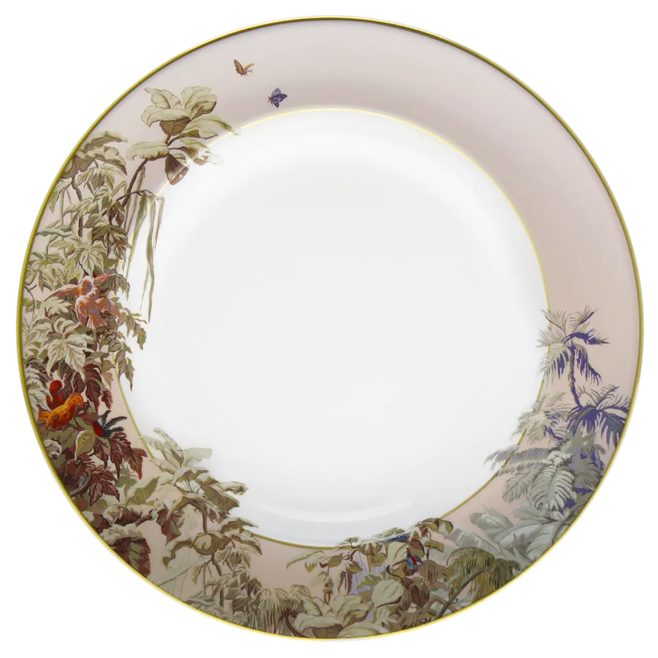 haviland-limoges-le-br-sil-manufacture-zuber-plat-rond-creux-serviersch-ssel image 1