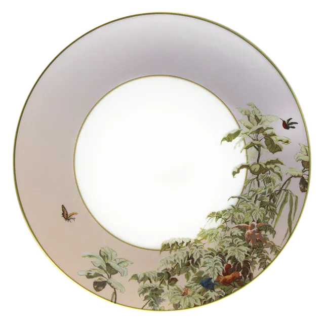 haviland-limoges-le-br-sil-speiseteller-manufacture-zuber image 1