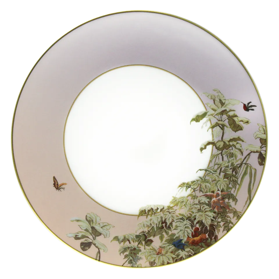haviland-limoges-le-br-sil-speiseteller-manufacture-zuber image 1