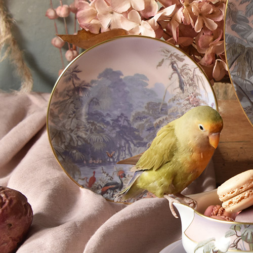 haviland-limoges-le-br-sil-manufacture-zuber-assiette-pain-brotteller image 2