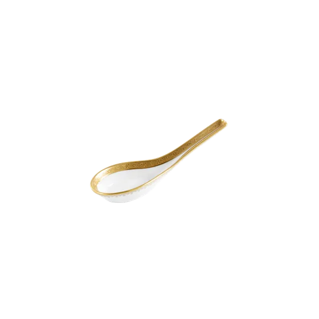 haviland-limoges-diplomate-cuill-re-chinoise-porzellanl-ffel image 1