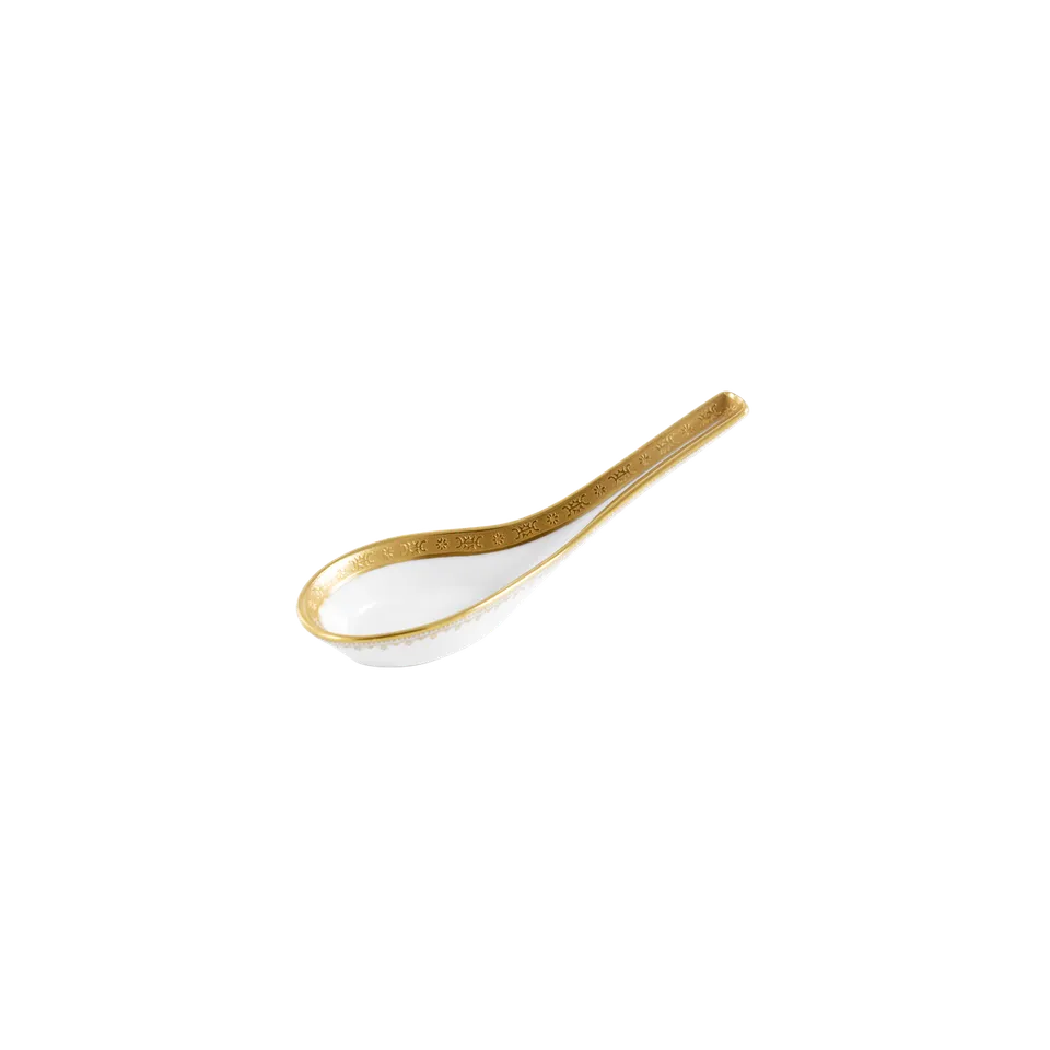 haviland-limoges-diplomate-cuill-re-chinoise-porzellanl-ffel image 1